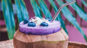 Blueberry Coconut Spritzer Mocktail served in coconut shell with fresh garnishes